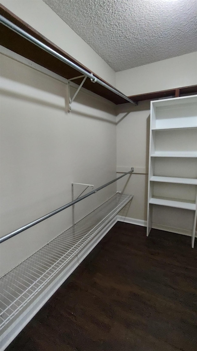 spacious closet featuring wood finished floors