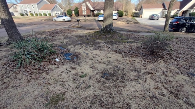 view of yard featuring a residential view