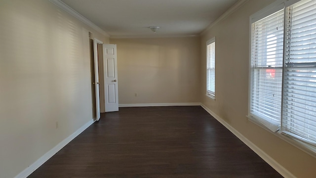 corridor featuring a healthy amount of sunlight, dark wood-style floors, and ornamental molding