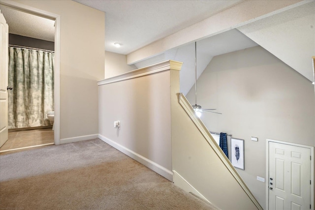 hall featuring baseboards and carpet floors