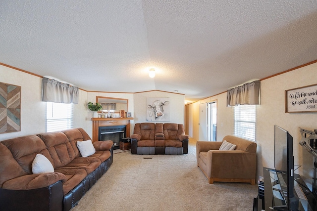 living area featuring crown molding, carpet flooring, a fireplace, and a wealth of natural light