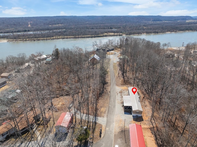 drone / aerial view with a view of trees and a water view