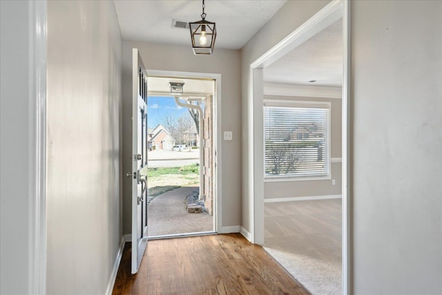 interior space featuring a wealth of natural light, baseboards, carpet, and wood finished floors