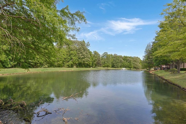 property view of water with a wooded view