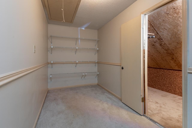 storage area with attic access