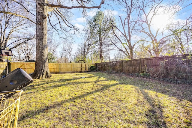 view of yard featuring a fenced backyard