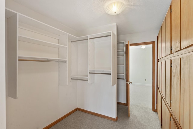 spacious closet featuring light colored carpet