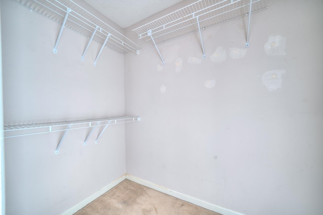 spacious closet with carpet flooring