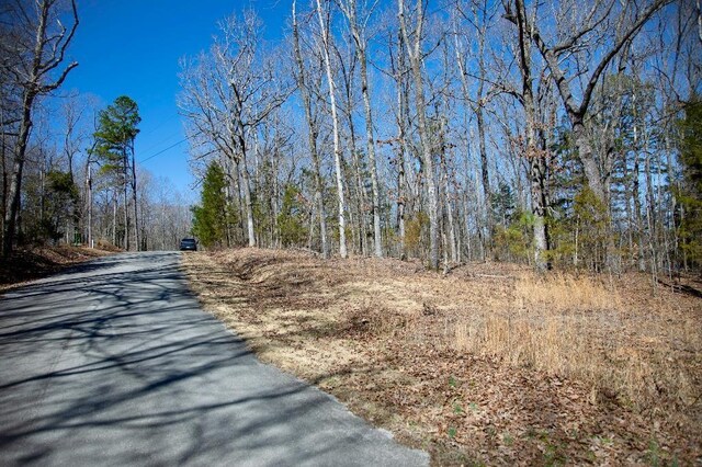 967-969 Crestwood Dr, Saulsbury, TN 38067