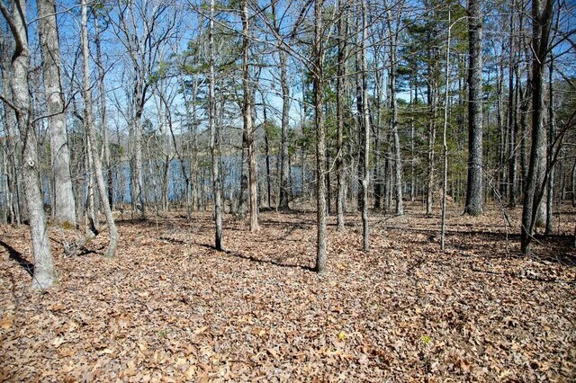 967-969 Crestwood Dr, Saulsbury, TN 38067