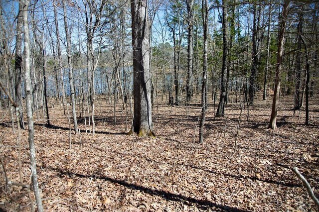 967-969 Crestwood Dr, Saulsbury, TN 38067