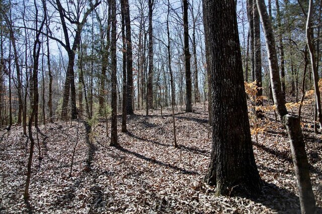 967-969 Crestwood Dr, Saulsbury, TN 38067