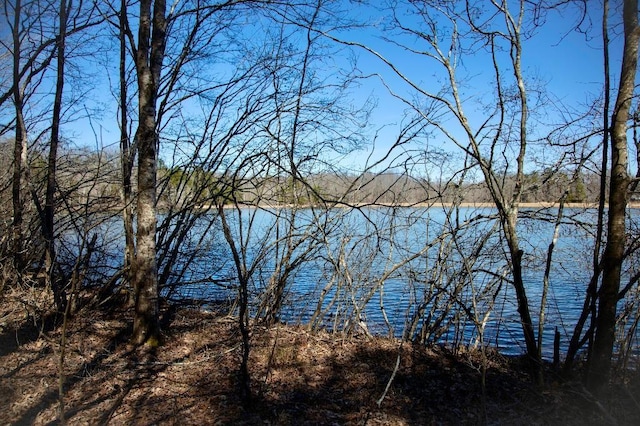 967-969 Crestwood Dr, Saulsbury, TN 38067