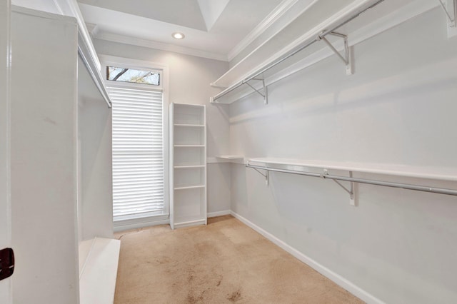 spacious closet with light carpet