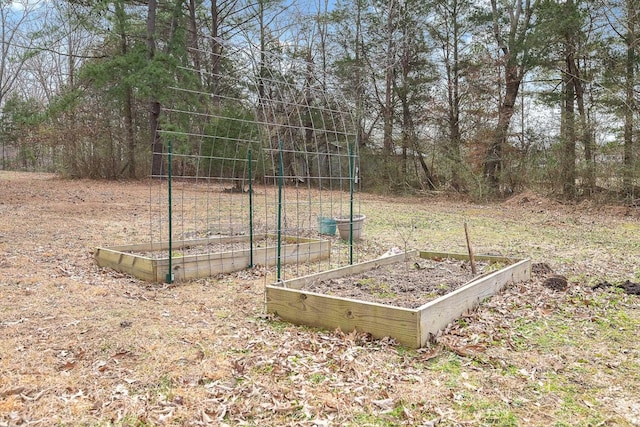 view of yard with a vegetable garden