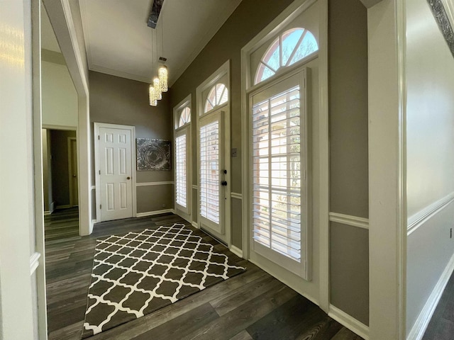 entrance foyer with plenty of natural light, ornamental molding, baseboards, and dark wood-style flooring