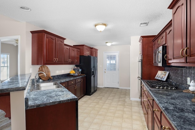 kitchen featuring a sink, stainless steel appliances, dark brown cabinets, and a wealth of natural light