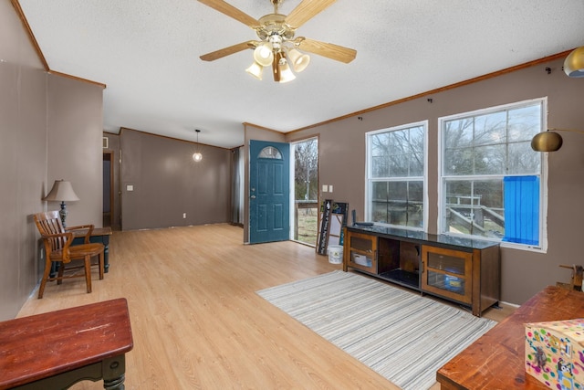 interior space featuring a textured ceiling, crown molding, ceiling fan, and wood finished floors