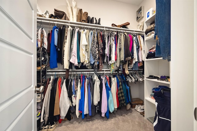 walk in closet with carpet floors