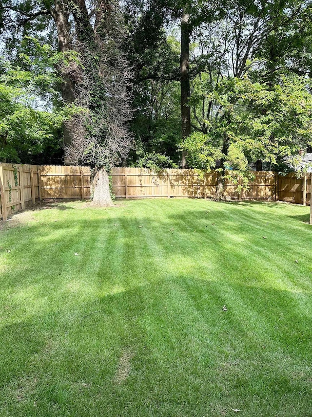 view of yard with a fenced backyard