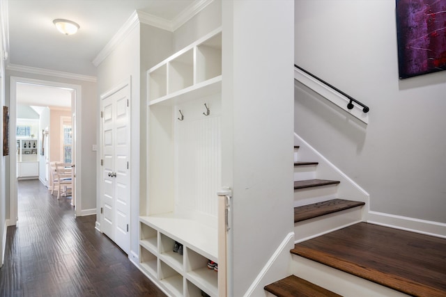 mudroom with dark wood-type flooring, baseboards, and ornamental molding