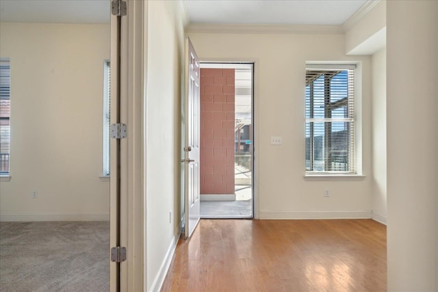 entrance foyer featuring crown molding, baseboards, and wood finished floors