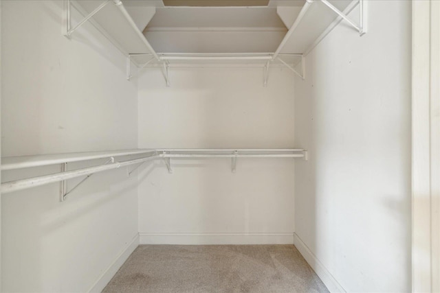 walk in closet with light carpet