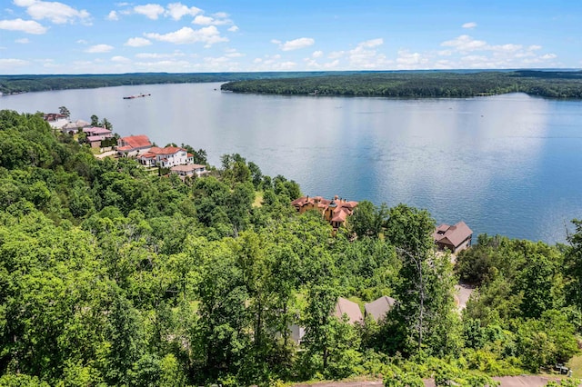 aerial view with a view of trees and a water view