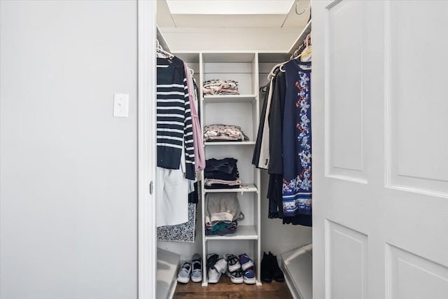 spacious closet with wood finished floors