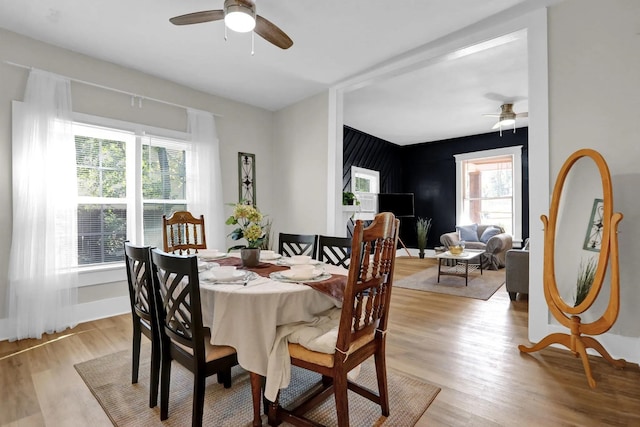 dining room featuring a wealth of natural light, light wood-style flooring, and ceiling fan