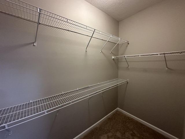 spacious closet with dark colored carpet