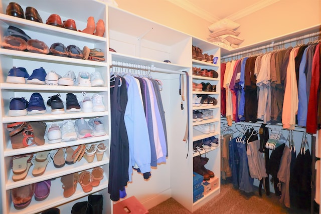 spacious closet with carpet floors