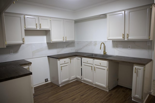 kitchen with dark wood-type flooring, crown molding, backsplash, and a sink