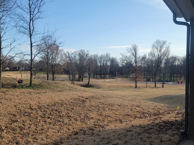 7718 Parkridge Dr, Southaven, MS 38671 - view of yard