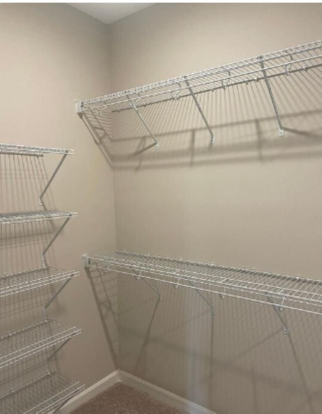 7718 Parkridge Dr, Southaven, MS 38671 - walk in closet featuring carpet