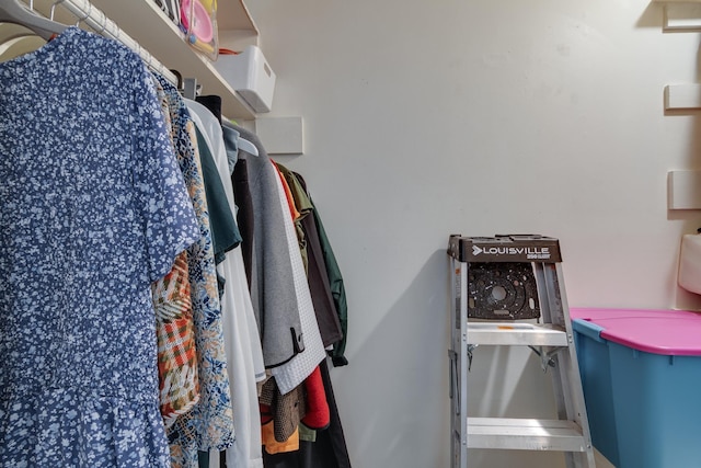 view of spacious closet