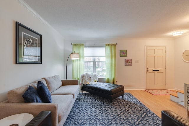 living room featuring baseboards, light wood-style floors, and crown molding