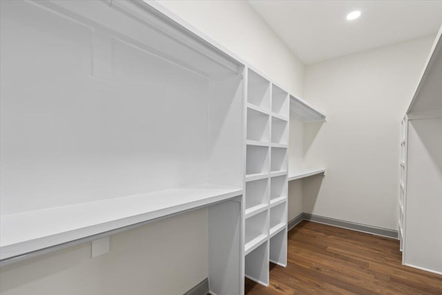 walk in closet featuring dark wood finished floors