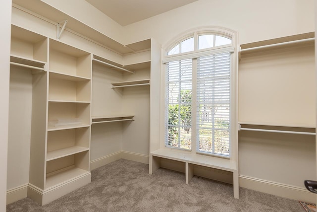 2793 Bayhill Woods Dr, Collierville, TN 38017 - spacious closet featuring carpet