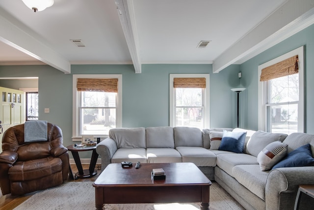 living room with beamed ceiling, visible vents, a wealth of natural light, and light wood-type flooring