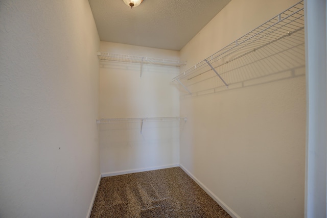 12065 Hidden Trl, Arlington, TN 38002 - walk in closet featuring carpet floors