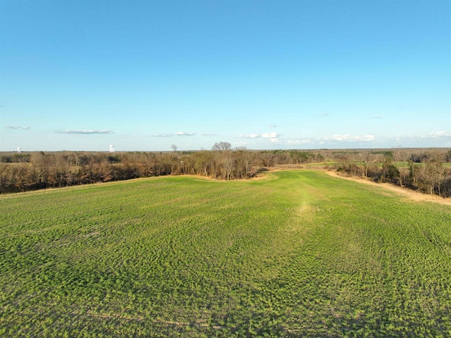 3615 Whiteville-Newcastle Rd, Whiteville, TN 38075