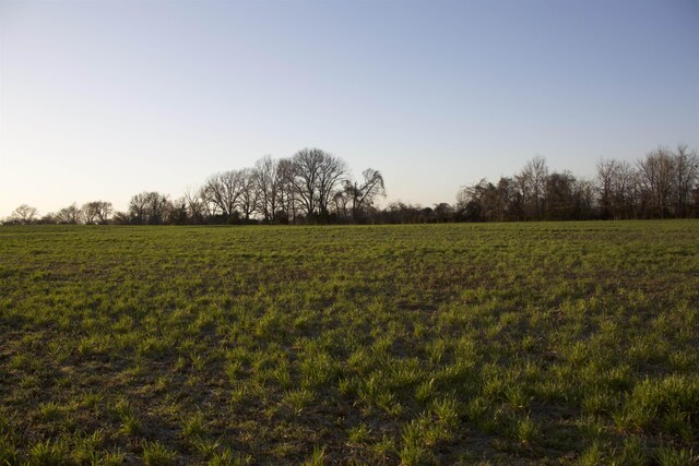 3615 Whiteville-Newcastle Rd, Whiteville, TN 38075