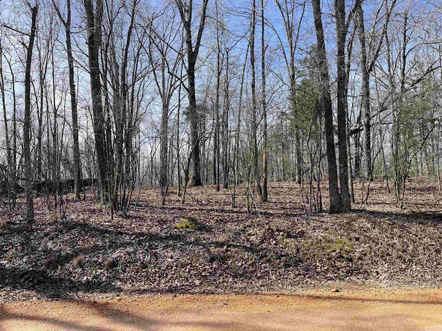 11 Old Liberty Rd, Morris Chapel, TN 38361