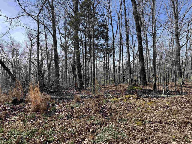 11 Old Liberty Rd, Morris Chapel, TN 38361