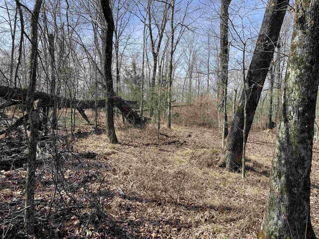 11 Old Liberty Rd, Morris Chapel, TN 38361