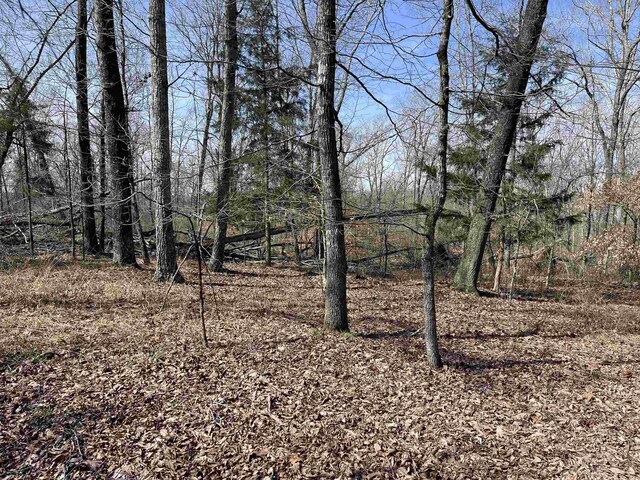 11 Old Liberty Rd, Morris Chapel, TN 38361