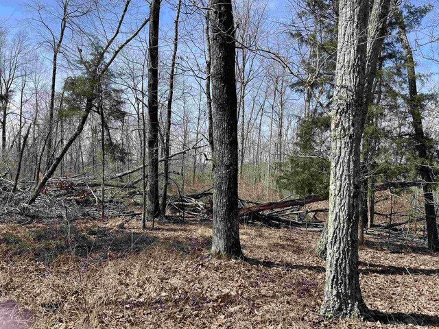 11 Old Liberty Rd, Morris Chapel, TN 38361