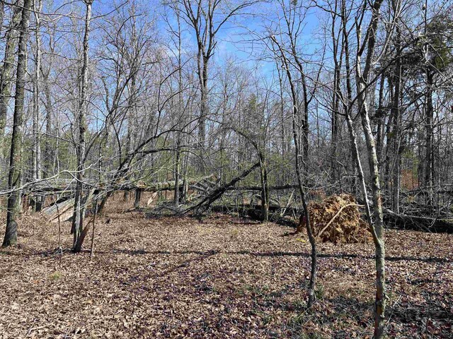 11 Old Liberty Rd, Morris Chapel, TN 38361