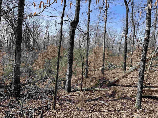 11 Old Liberty Rd, Morris Chapel, TN 38361
